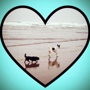 Meet your Posher, Jozy